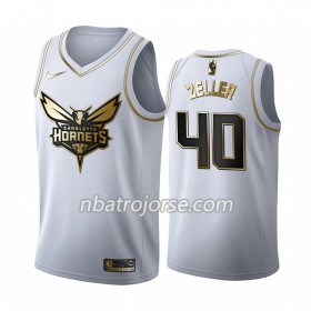 Män Charlotte Hornets Tröja Cody Zeller 40 2019-20 Nike Vit Golden Edition Swingman